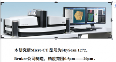 Micro-CT detection
